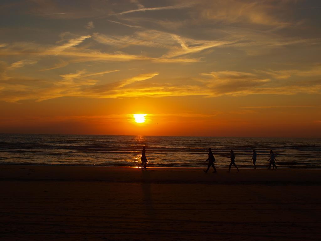 Divi Divi Zandvoort Bagian luar foto